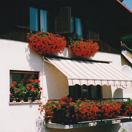Zrm Center Apartment Idrija Bagian luar foto